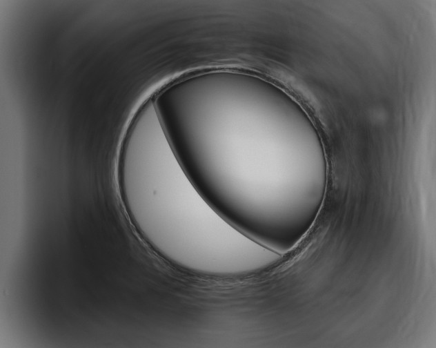 X0000094771328200711160822