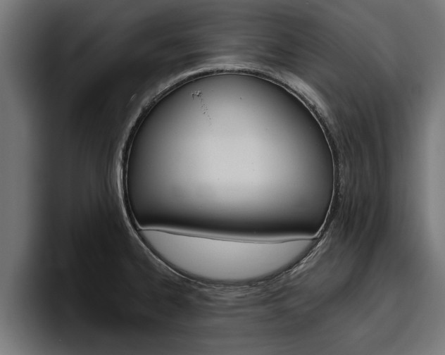 X0000094771334200711160822