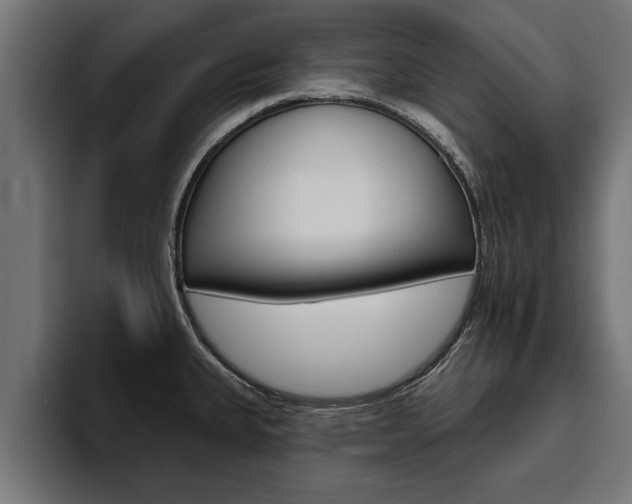 X0000094771335200711160822