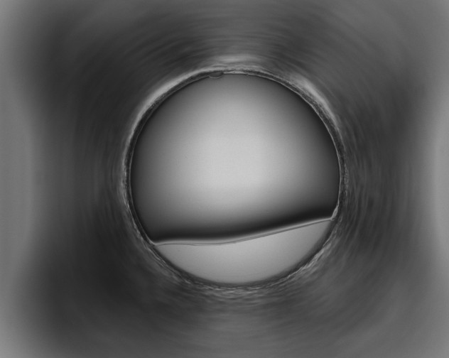 X0000094771336200711160822