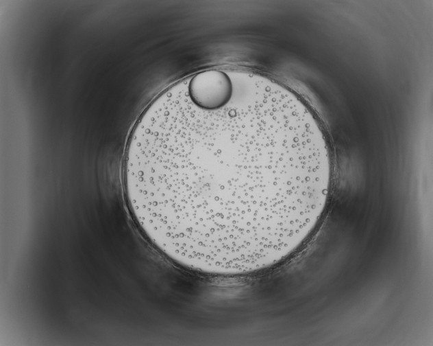 X0000094771338200711160822