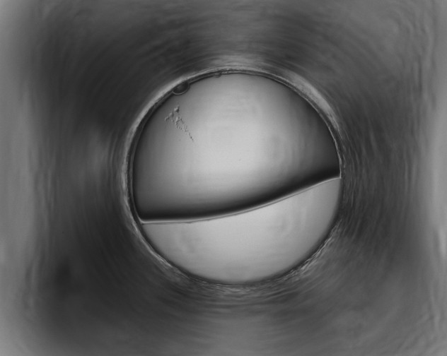 X0000094771339200711160822