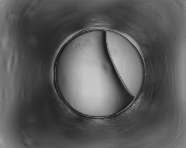X0000094771341200711160822