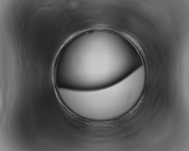 X0000094771342200711160822