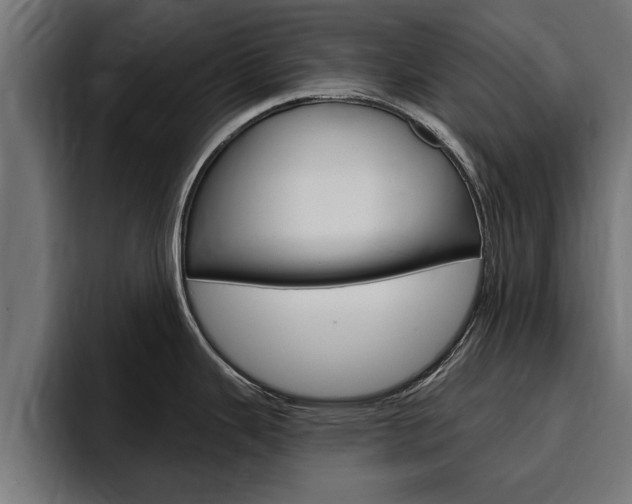 X0000094771343200711160822