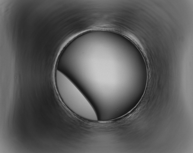 X0000094771344200711160822