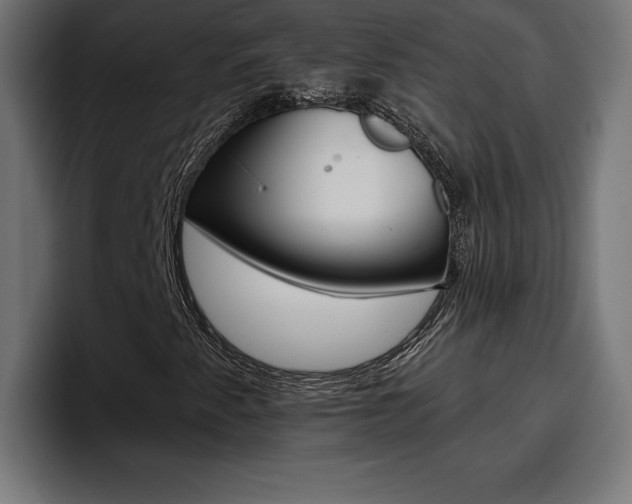 X0000094771345200711160822