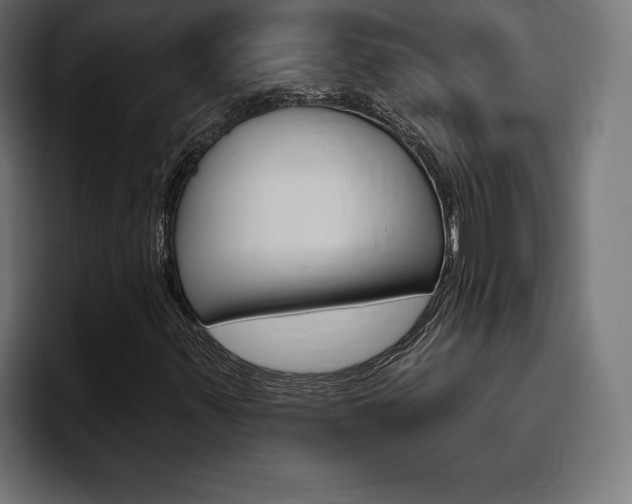 X0000094771347200711160822