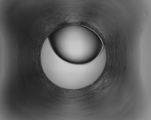 X0000094771348200711160822