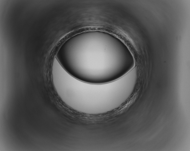 X0000094771352200711160822