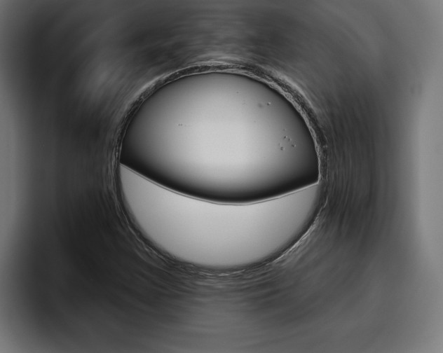 X0000094771355200711160822