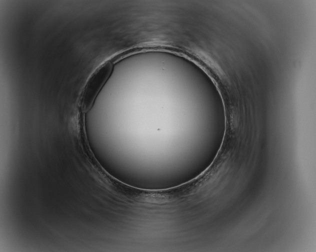 X0000094771356200711160822
