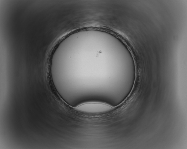 X0000094771359200711160822