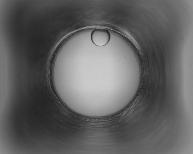 X0000094771360200711160822