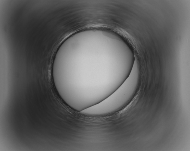 X0000094771361200711160822