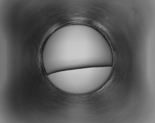 X0000094771362200711160822