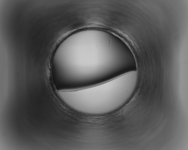 X0000094771363200711160822