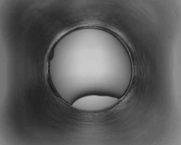 X0000094771366200711160822