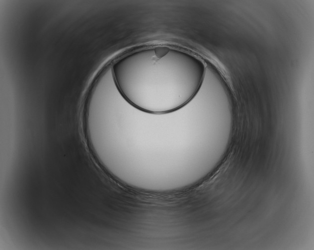 X0000094771368200711160822