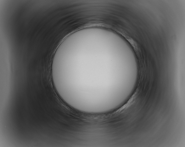 X0000094771369200711160822
