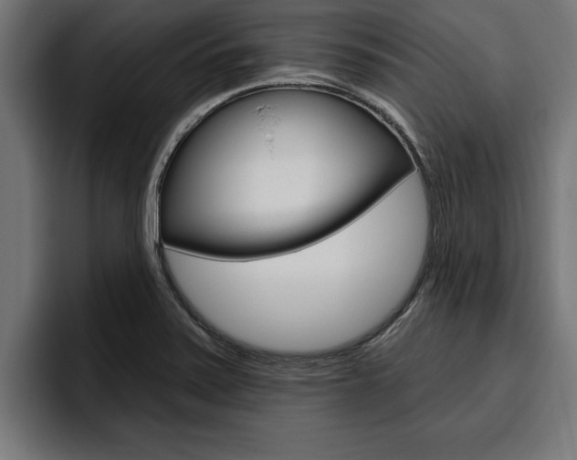X0000094771371200711160822