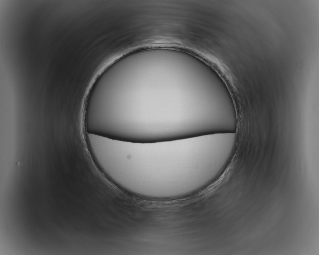 X0000094771374200711160821