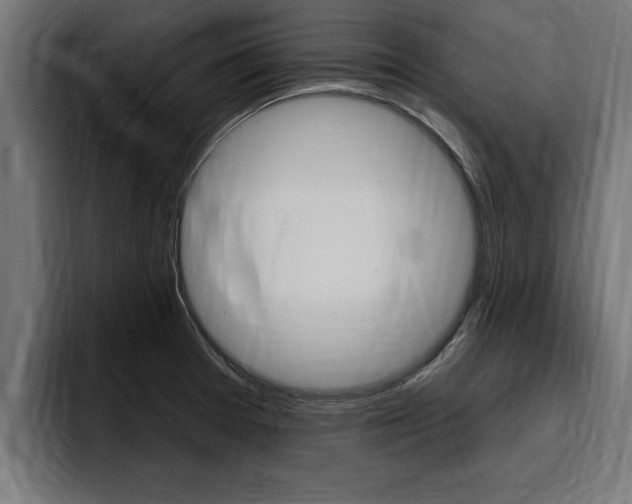 X0000094771377200711160821