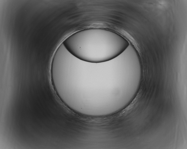 X0000094771378200711160821