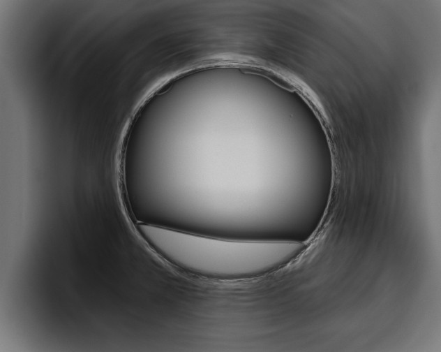 X0000094771381200711160821