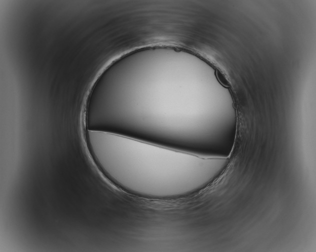 X0000094771383200711160821