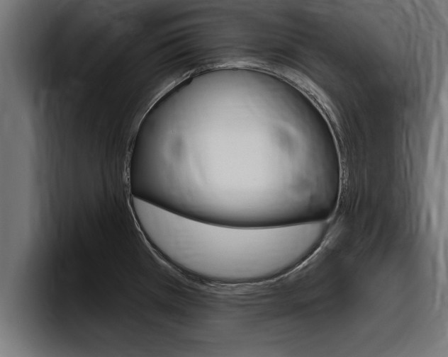 X0000094771385200711160821