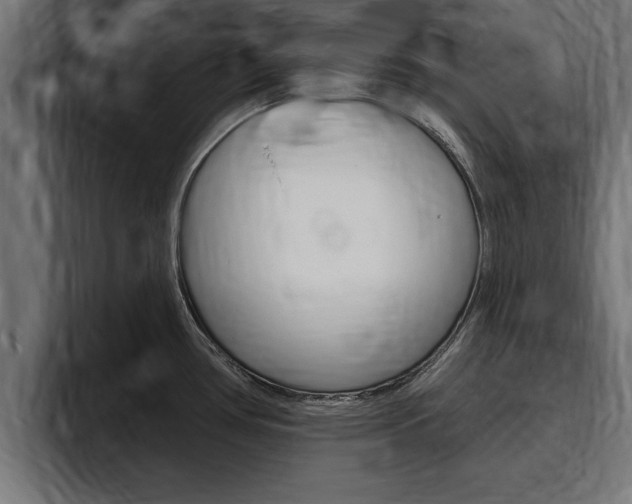 X0000094771386200711160821