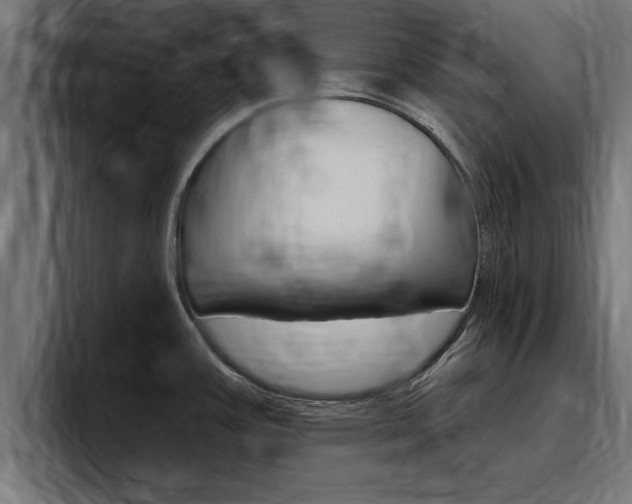 X0000094771387200711160821