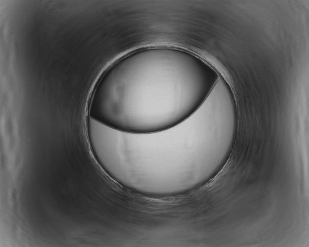 X0000094771388200711160821
