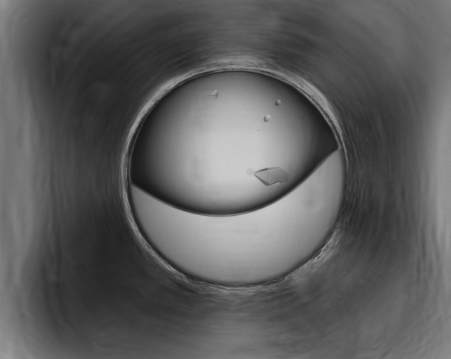 X0000094771389200711160821