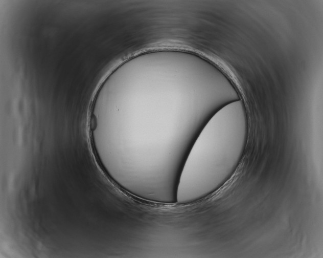 X0000094771390200711160821