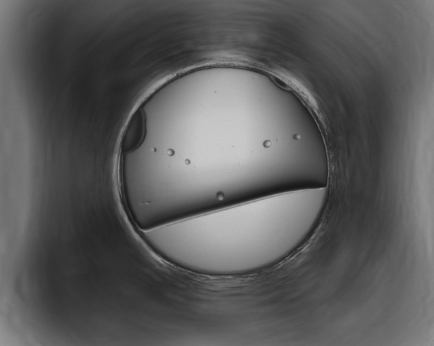 X0000094771391200711160821