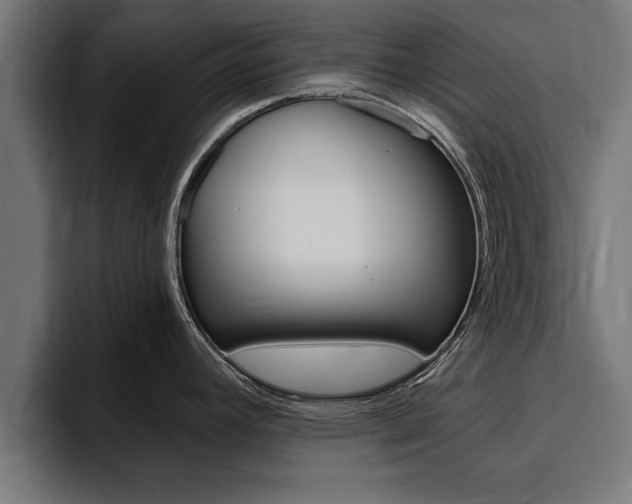 X0000094771392200711160821
