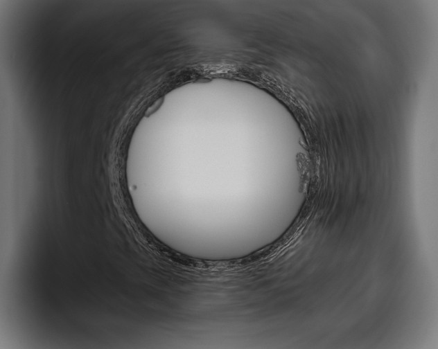 X0000094771393200711160821