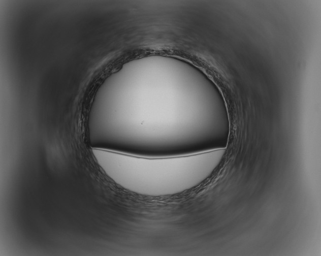 X0000094771398200711160821