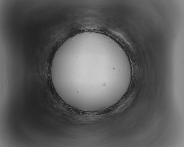 X0000094771399200711160821