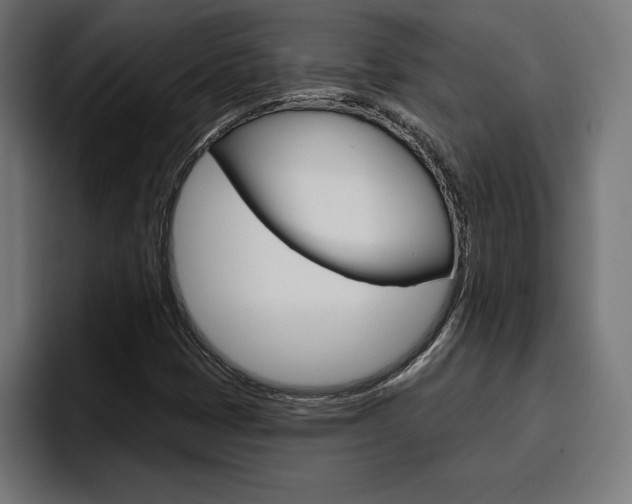 X0000094771401200711160821