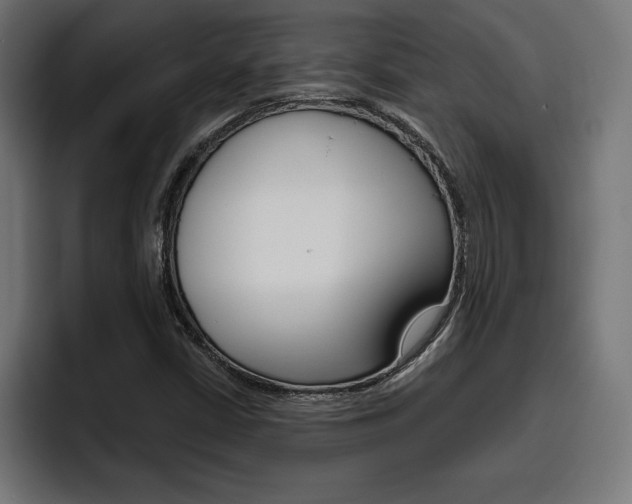 X0000094771402200711160821