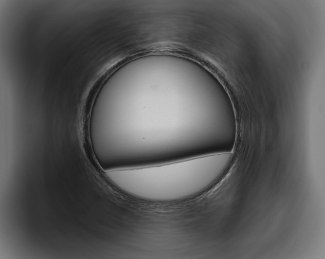 X0000094771410200711160821