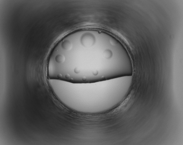 X0000094771413200711160821