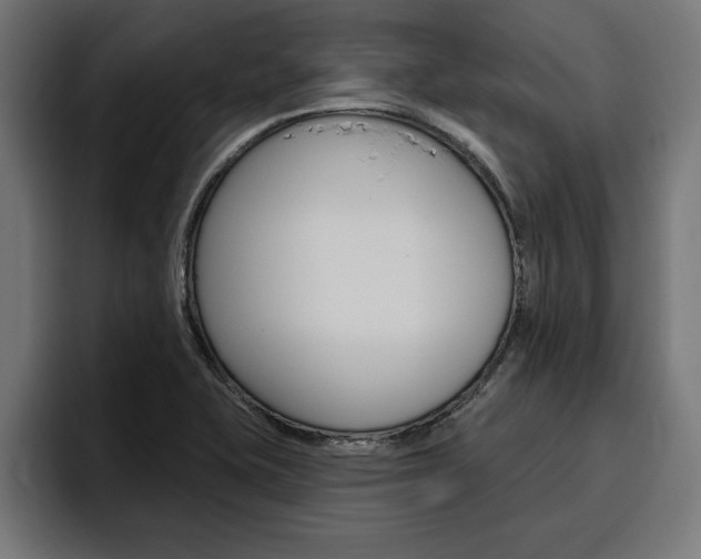 X0000094771415200711160821