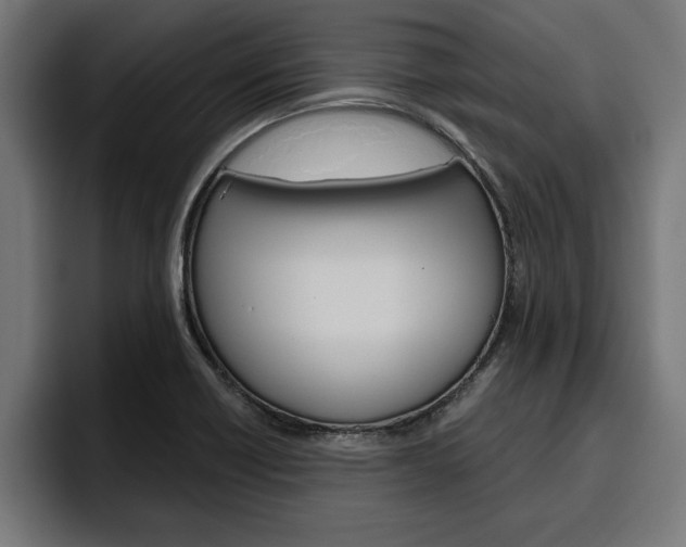 X0000094771418200711160821