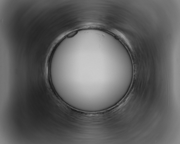 X0000094771419200711160821
