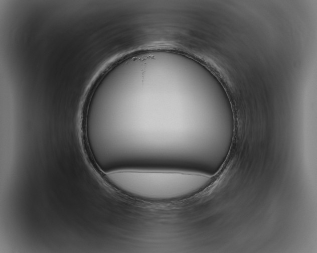 X0000094771422200711160821