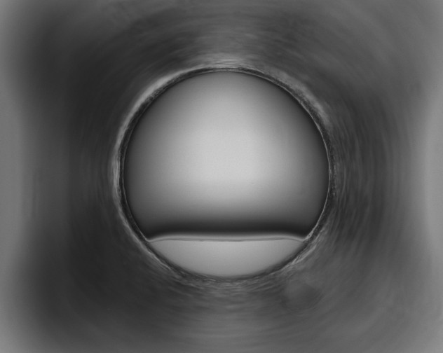 X0000094771424200711160821